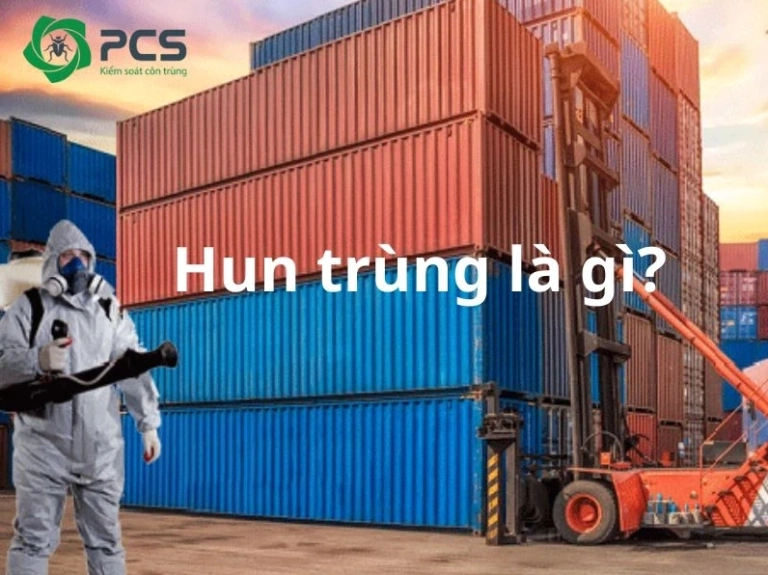 Giải đáp chi tiết khái niệm hun trùng là gì và vai trò quan trọng
