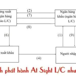 Giải đáp chi tiết l/c trả ngay là gì và cách thức hoạt động