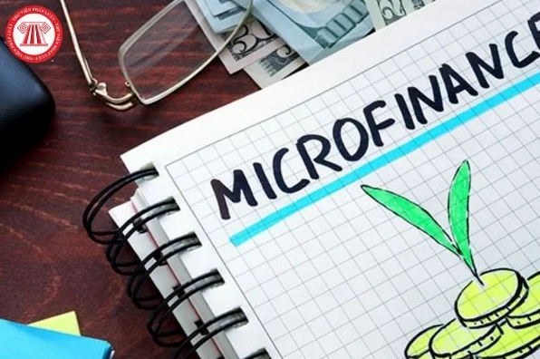 Giải đáp tài chính vi mô là gì và đặc điểm hoạt động chi tiết