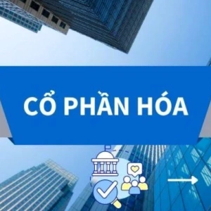 Giải nghĩa cổ phần hóa doanh nghiệp nhà nước là gì chi tiết