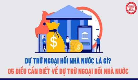 Giải thích chi tiết khái niệm dự trữ ngoại hối là gì