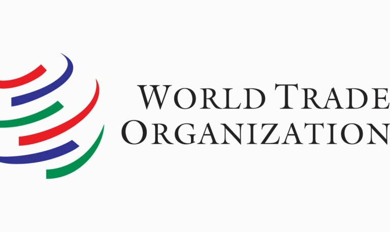 Giải thích chi tiết khái niệm wto là gì và vai trò kinh tế