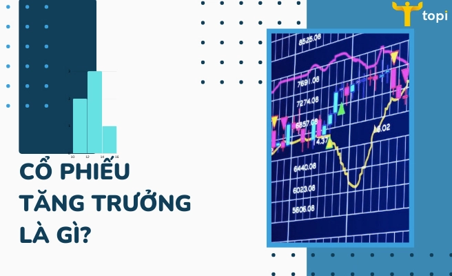 Khái niệm cơ bản về cổ phiếu tăng trưởng là gì trong đầu tư