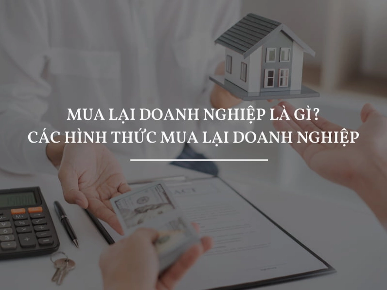 Minh họa khái niệm mua lại doanh nghiệp trong kinh tế học