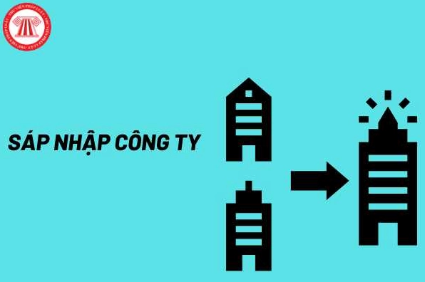 Sáp nhập doanh nghiệp là gì và quy trình chuẩn 2026